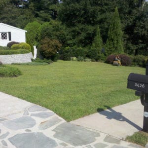 Centipede (504 Sq. Ft.)